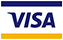 VISA Logo